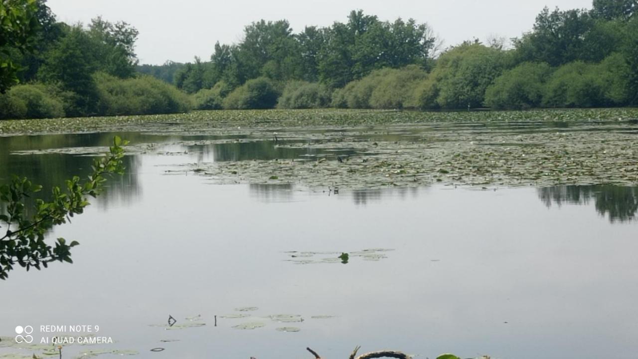 Maison De Ferme Au Calme Jusqu'A 10 Personnes Gannay-sur-Loire Exterior foto